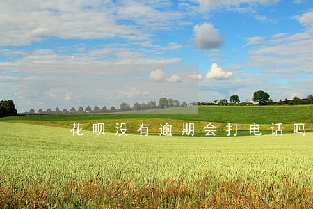 花呗没有逾期会打电话吗 花呗没有逾期会打电话吗