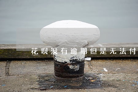 花呗没有逾期但是无法付款 花呗没有逾期但是无法付款