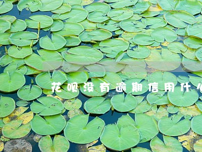 花呗没有逾期信用什么 花呗没有逾期信用什么