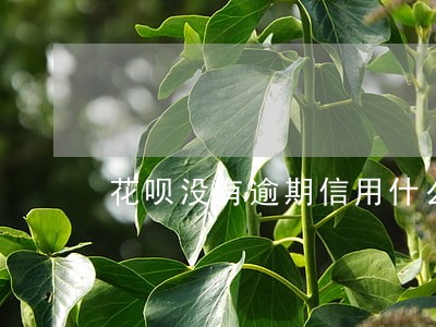 花呗没有逾期信用什么后果 花呗没有逾期信用什么后果
