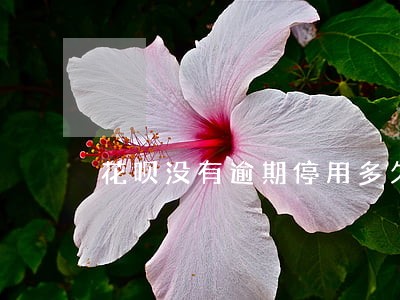 花呗没有逾期停用多久恢复 花呗没有逾期停用多久恢复