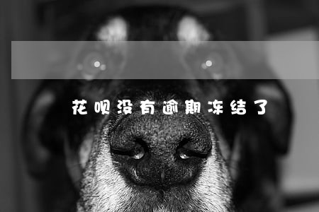 花呗没有逾期冻结了