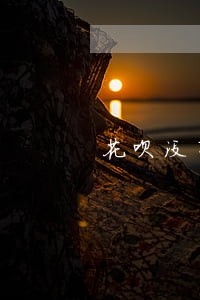 花呗没有逾期却被关闭了 花呗没有逾期却被关闭了