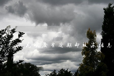 花呗没有逾期却被冻结怎么办 花呗没有逾期却被冻结怎么办
