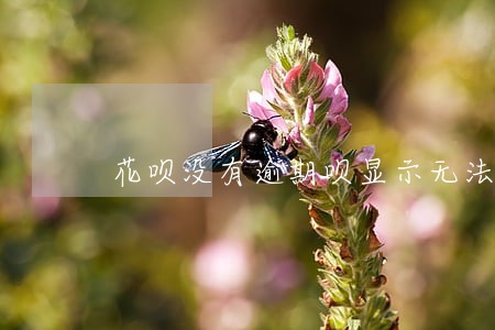 花呗没有逾期呗显示无法使用 花呗没有逾期呗显示无法使用