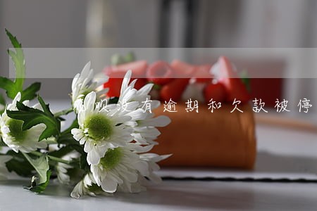花呗没有逾期和欠款被停用了 花呗没有逾期和欠款被停用了