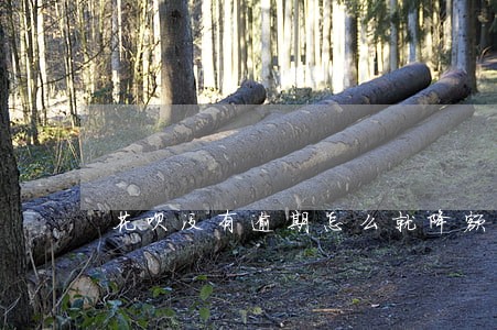花呗没有逾期怎么就降额度了 花呗没有逾期怎么就降额度了