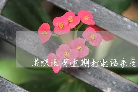 花呗没有逾期打电话来是什么情况 花呗没有逾期打电话来是什么情况