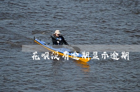 花呗没有逾期显示逾期 花呗没有逾期显示逾期