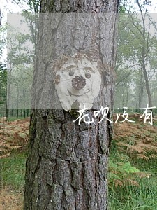 花呗没有逾期突然没有了怎么恢复 花呗没有逾期突然没有了怎么恢复