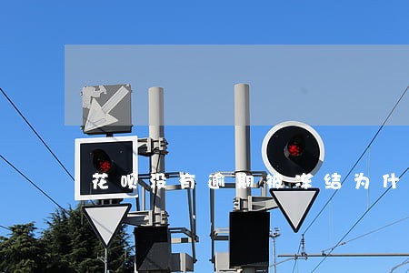 花呗没有逾期被冻结为什么 花呗没有逾期被冻结为什么