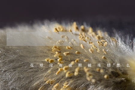 花呗没有逾期被冻结怎么办