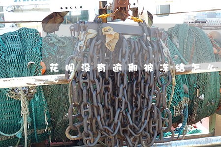 花呗没有逾期被冻结怎么解除 花呗没有逾期被冻结怎么解除