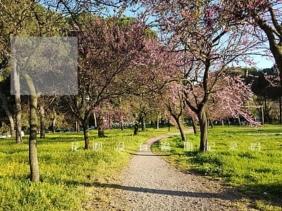 花呗没有逾期记录吗 花呗没有逾期记录吗