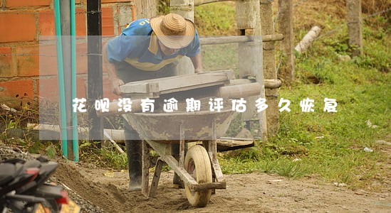 花呗没有逾期评估多久恢复 花呗没有逾期评估多久恢复