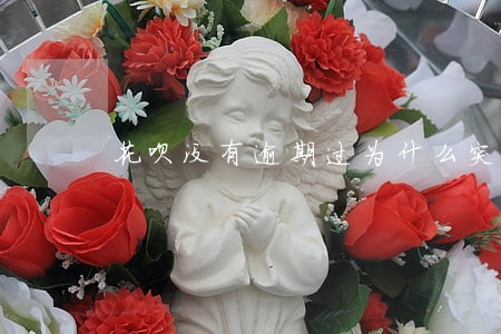 花呗没有逾期过为什么突然关闭 花呗没有逾期过为什么突然关闭