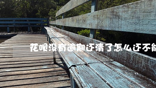 花呗没有逾期还清了怎么还不能用 花呗没有逾期还清了怎么还不能用