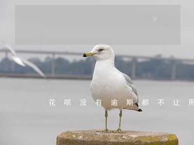花呗没有逾期都不让用了什么情况 花呗没有逾期都不让用了什么情况