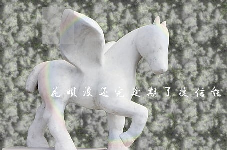 花呗没还完逾期了捷信能分期 花呗没还完逾期了捷信能分期
