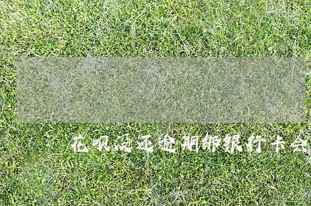 花呗没还逾期绑银行卡会自动还款 花呗没还逾期绑银行卡会自动还款