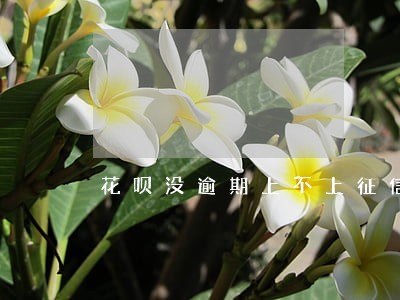 花呗没逾期上不上征信报告 花呗没逾期上不上征信报告