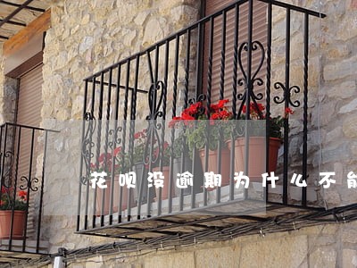 花呗没逾期为什么不能付款 花呗没逾期为什么不能付款