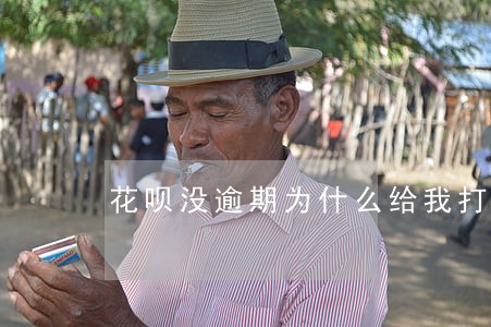 花呗没逾期为什么给我打电话 花呗没逾期为什么给我打电话