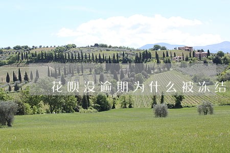 花呗没逾期为什么被冻结