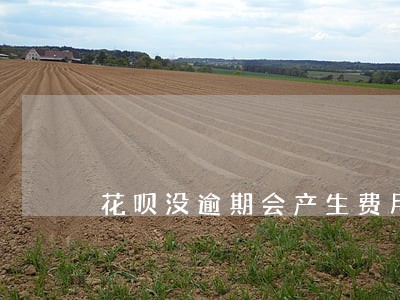 花呗没逾期会产生费用吗