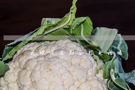 花呗没逾期会打电话吗 花呗没逾期会打电话吗
