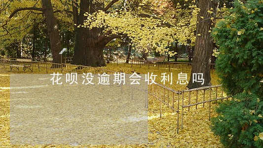 花呗没逾期会收利息吗 花呗没逾期会收利息吗