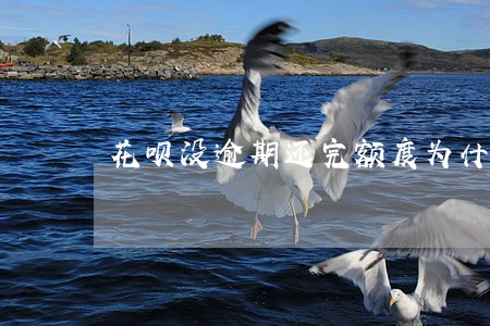 花呗没逾期还完额度为什么不能用