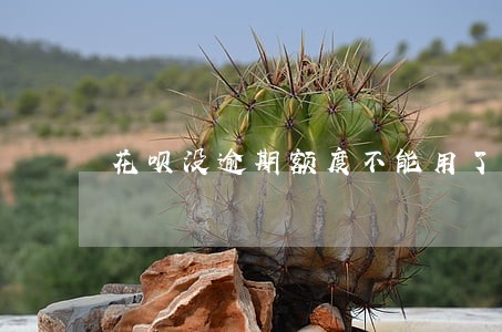 花呗没逾期额度不能用了怎么办