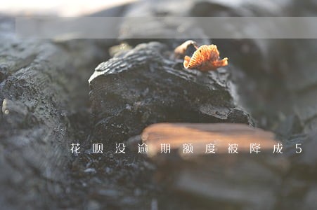 花呗没逾期额度被降成500