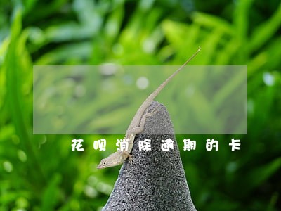 花呗消除逾期的卡 花呗消除逾期的卡