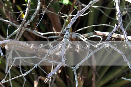花呗淘宝关闭是逾期了吗 花呗淘宝关闭是逾期了吗