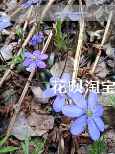 花呗淘宝逾期会给收货人打电话吗 花呗淘宝逾期会给收货人打电话吗