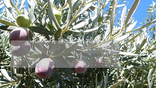 花呗清除逾期记录吗 花呗清除逾期记录吗