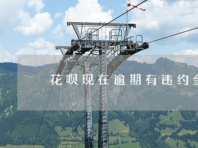 花呗现在逾期有违约金 花呗现在逾期有违约金