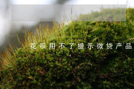 花呗用不了提示微贷产品逾期 花呗用不了提示微贷产品逾期