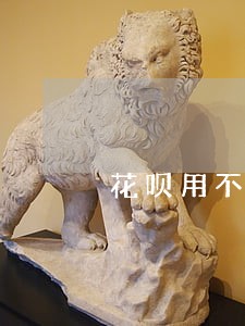 花呗用不了说什么微贷逾期 花呗用不了说什么微贷逾期