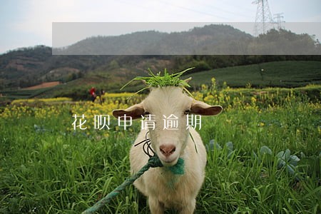 花呗申请逾期 花呗申请逾期