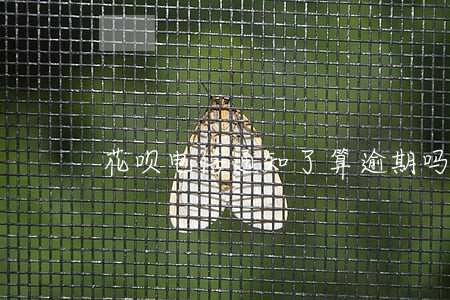 花呗电信通知了算逾期吗 花呗电信通知了算逾期吗