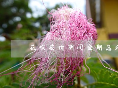花呗疫情期间逾期怎么修复 花呗疫情期间逾期怎么修复