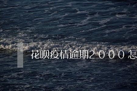 花呗疫情逾期2000怎么解决