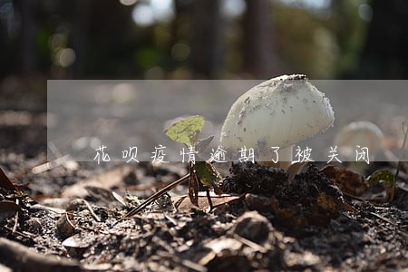 花呗疫情逾期了被关闭