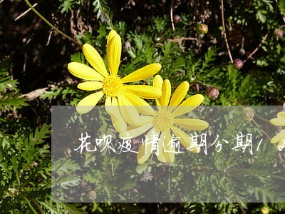 花呗疫情逾期分期12个月 花呗疫情逾期分期12个月
