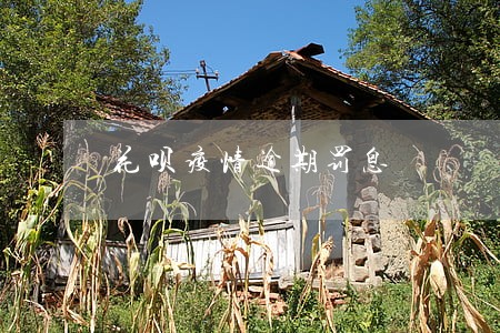 花呗疫情逾期罚息 花呗疫情逾期罚息