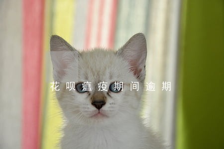 花呗瘟疫期间逾期 花呗瘟疫期间逾期