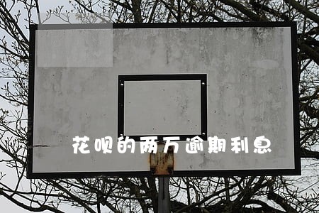 花呗的两万逾期利息 花呗的两万逾期利息